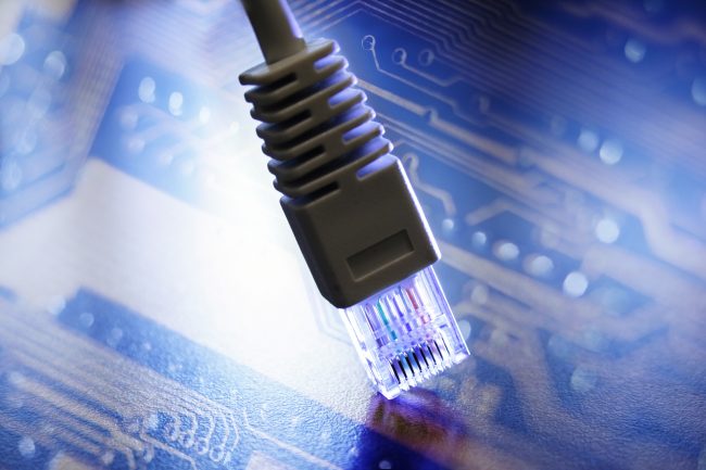 Network cable